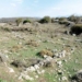Νέα ανασκαφική περίοδος στον αρχαιολογικό χώρο της Ονιθές