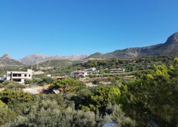 Κρητική βραδιά στο λιμανάκι Φέρμων