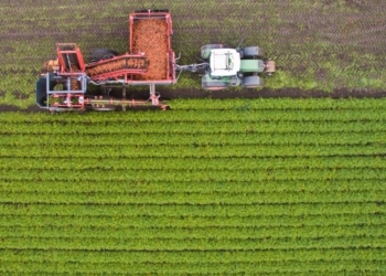 ΑΑΔΕ-myAGRO: Aπλουστεύσεις στην υποβολή της Ενιαίας Αίτησης Ενίσχυσης