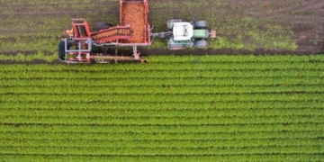 ΑΑΔΕ-myAGRO: Aπλουστεύσεις στην υποβολή της Ενιαίας Αίτησης Ενίσχυσης