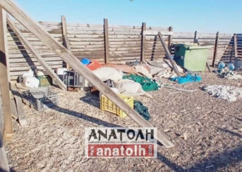 Τα απορρίμματα στη Χρυσή