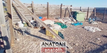 Τα απορρίμματα στη Χρυσή
