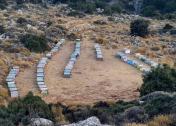 Η φωτογραφία της ημέρας