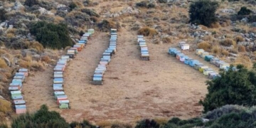 Η φωτογραφία της ημέρας