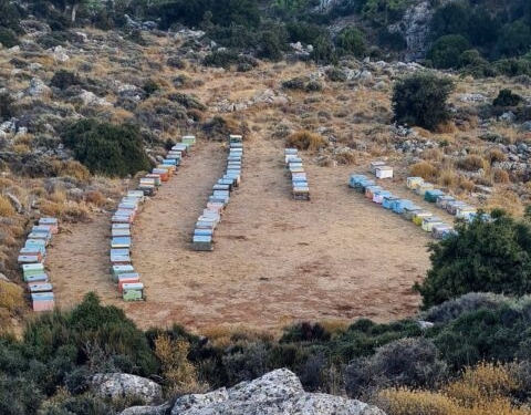 Φώτο: Leonidas Klontzas