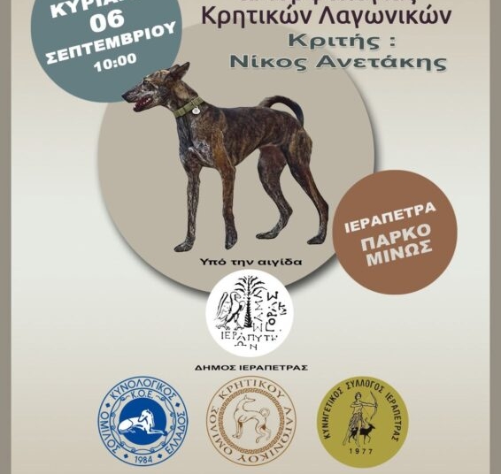 Ιεράπετρα: Έκθεση αναγνώρισης και μορφολογίας κρητικών λαγωνικών
