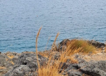 Η φωτογραφία της ημέρας