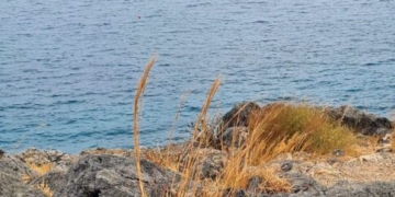 Η φωτογραφία της ημέρας