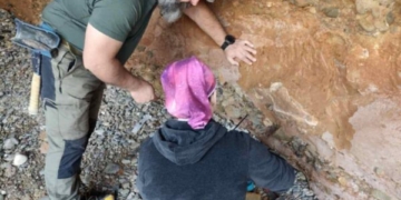Ρινόκερος που ανήκει στο είδος Dihoplus pikermiensis, 8,5 εκ. έτη, ανασκάφτηκε στο Γεωπάρκο της Σητείας