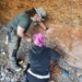 Ρινόκερος που ανήκει στο είδος Dihoplus pikermiensis, 8,5 εκ. έτη, ανασκάφτηκε στο Γεωπάρκο της Σητείας