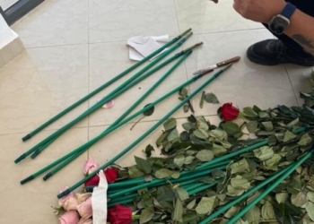Κύκλωμα έκρυβε 84 κιλά κοκαΐνης μέσα σε τριαντάφυλλα: ΑΑΔΕ-Επιχείρηση «Τα άνθη του κακού»