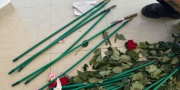 Κύκλωμα έκρυβε 84 κιλά κοκαΐνης μέσα σε τριαντάφυλλα: ΑΑΔΕ-Επιχείρηση «Τα άνθη του κακού»