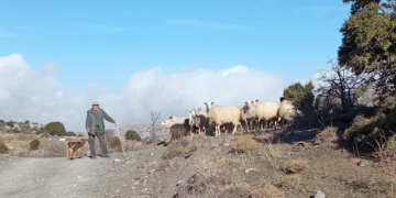 Ορειβατικός Σύλλογος Καλού Χωριού: Κυκλική πεζοπορία στην περιοχή του Καθαρού