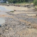 Η κακοκαιρία «έσκαψε» την παραλία Αλμυρός (βίντεο)