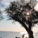 Η φωτογραφία της ημέρας