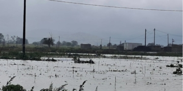 Ολοκληρωτική καταστροφή στο Οροπέδιο Λασιθίου – Σε απόγνωση οι παραγωγοί