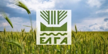 Παράταση για τις δηλώσεις ζημιών από την πλημμύρα στον Δήμο Οροπεδίου Λασιθίου