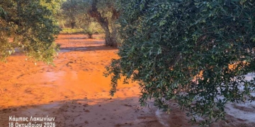Απέραντος λασπότοπος παραμένει ο κάμπος Λακωνίων (βίντεο)