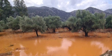 Ζημιές και πλημμύρες στα Λακώνια – Ο κάμπος έγινε λίμνη! (βίντεο)