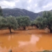 Ζημιές και πλημμύρες στα Λακώνια – Ο κάμπος έγινε λίμνη! (βίντεο)