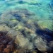 Οι υπόγειες πηγές της δροσερής Αμμουδάρας (βίντεο)