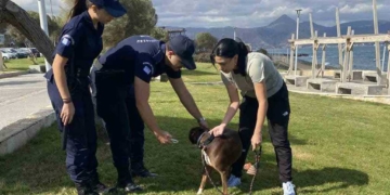   Εντατικοί έλεγχοι  για την προστασία ζώων συντροφιάς στην Κρήτη