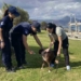   Εντατικοί έλεγχοι  για την προστασία ζώων συντροφιάς στην Κρήτη